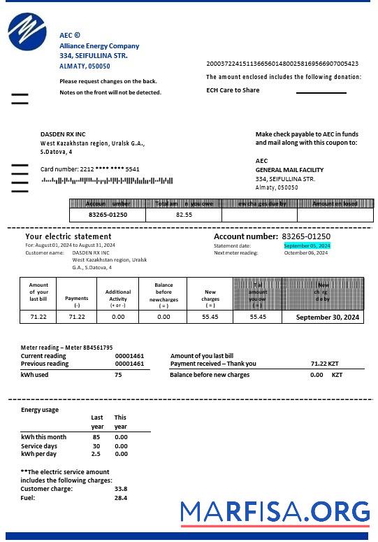 Realistic Kazakhstan Alliance Energy Company (AEC) business utility bill Word and PDF template